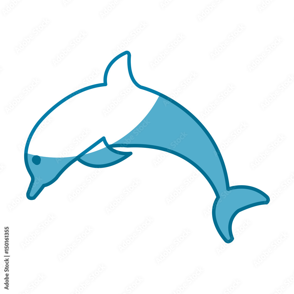 Fototapeta premium Dolphin marine animal icon vector illustration graphic design