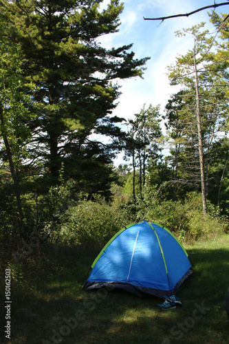 Blue tent in a forest with blue sky