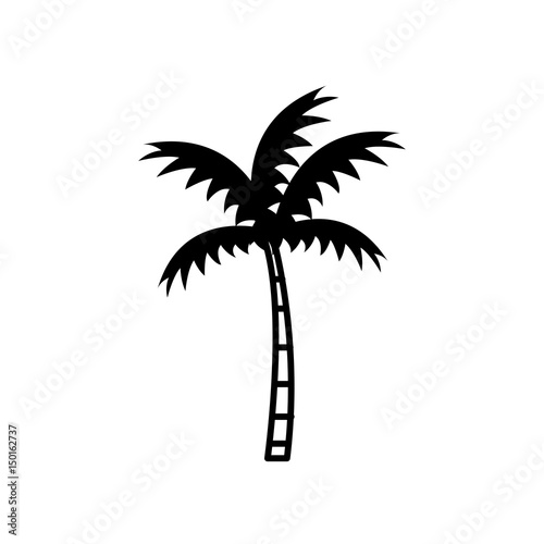 Beach palm tree icon vector illustration graphic design