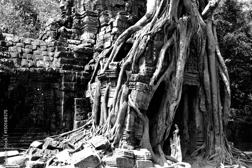 Cambodia Angkor Ta Som