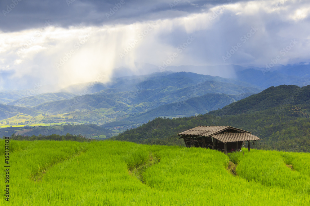 Fresh green rice terrace field and cloudy sky in rainy season, at Baan Pa Bong Pieng, northern of Chiang Mai, Thailand.
