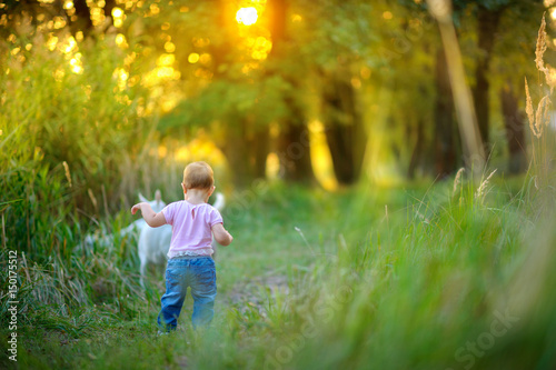 beautiful kid walks in the park near the grazed goats, on a sunset