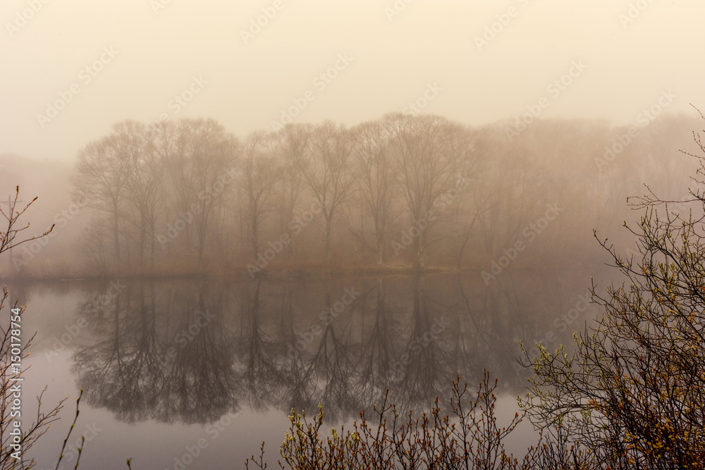 Foggy sring morning Reflections