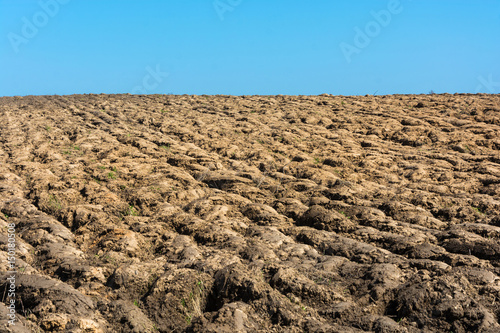 Plowed a large field.