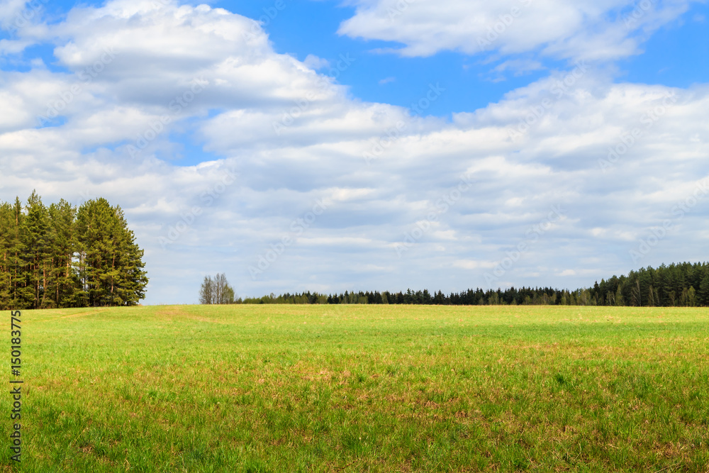 Obraz premium landscape with clouds