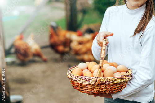 beautiful little girl holding a basket full of eggs on the farm