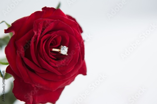 Fototapeta Naklejka Na Ścianę i Meble -  Diamond ring kept in red rose