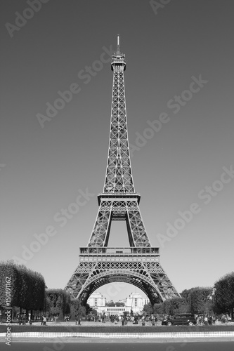 Fototapeta Naklejka Na Ścianę i Meble -  Torre Eiffel