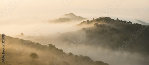 Sunrise landscape at Coll de Serra Seca in the Catalan Pré-Pyrenees with a yellow glow in the mist.