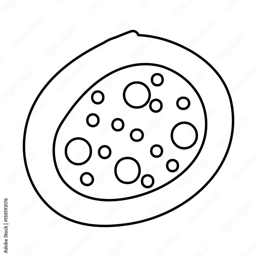 Bacterial cell structure icon vector illustration design Bacterial cell structure icon vector illustration design
