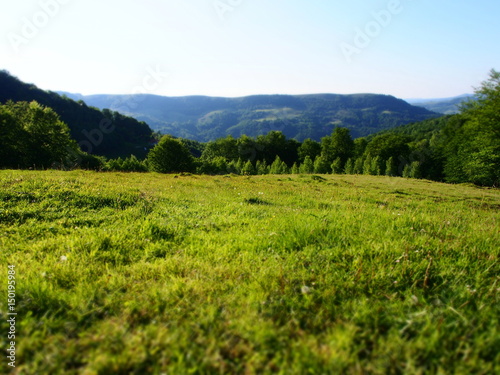 an open field in my Hills