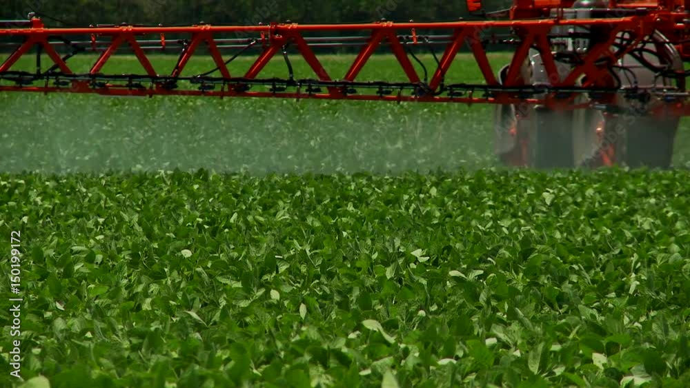 Spraying field