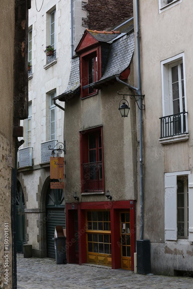 Naklejka premium Habitations