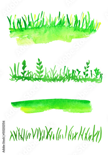 Watercolor vector collection of grass. Several types of grass for design 