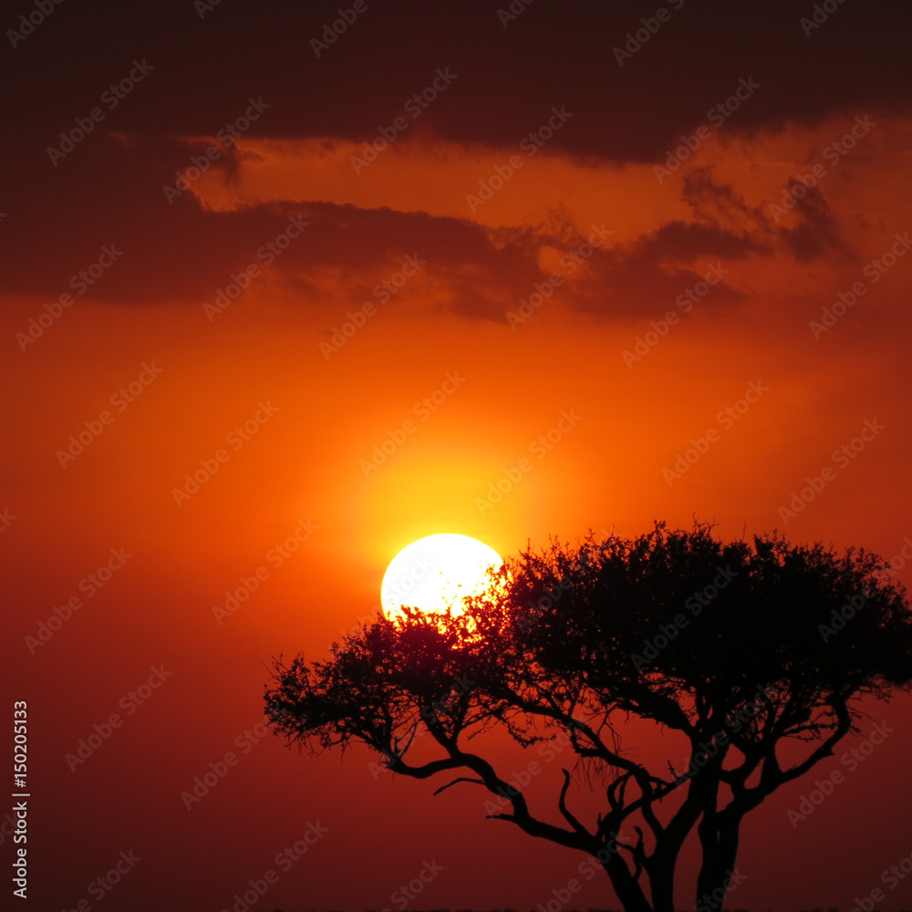Kenya Sunset Silhouette 2