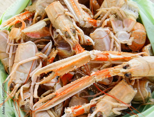 déchets de langoustines,têtes et pattes