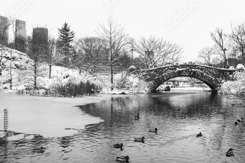 Gapstow bridge and duck in the icy lake at Central Park in black and white style