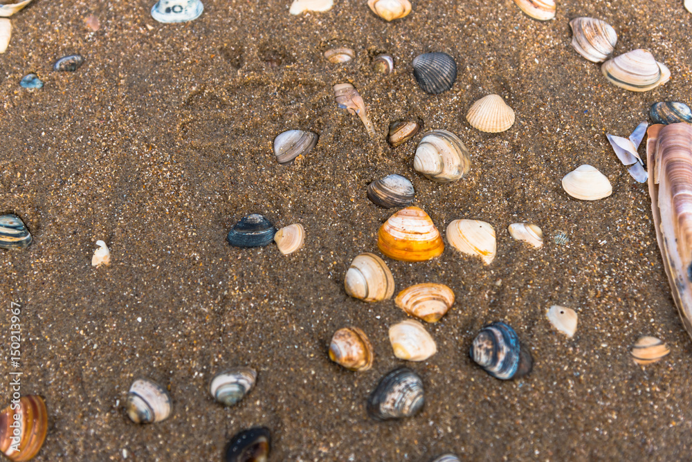 Fototapeta premium Beach at the North Sea
