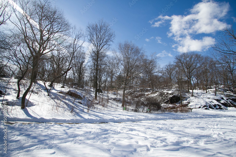 shadow on snow and blue sky at Central Park