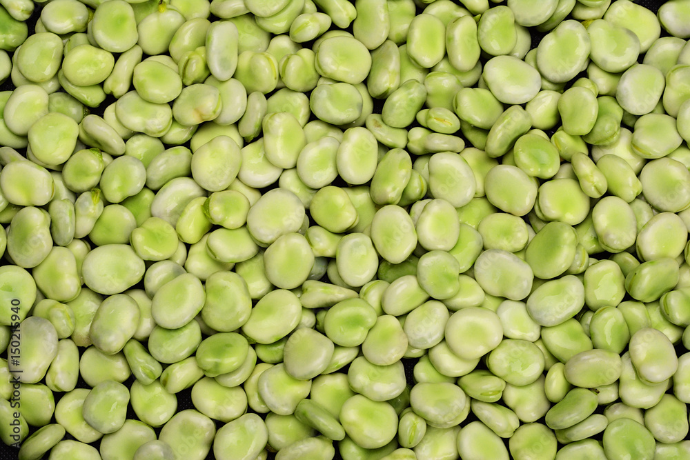 Background of fresh green broad beans. Background of fresh green broad beans.