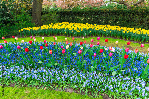 Beautiful flowers at the Park photo