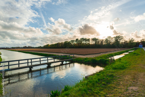Wallpaper Mural Amazing tulips field Torontodigital.ca