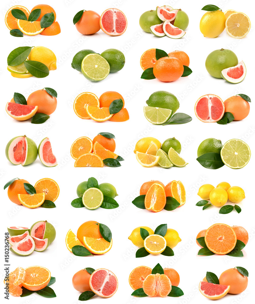 Fruit of citrus Fruit of citrus