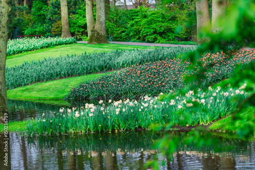Amazing flowers at keukenhof garden ,Holland