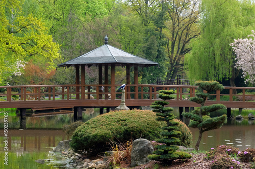Forty in the center of the Japanese garden