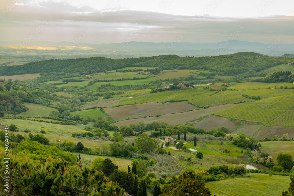 View of the city of montepulciano in the province of siena toscana italia, famous for the red wine Nobile