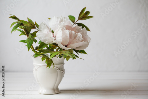 Fototapeta Naklejka Na Ścianę i Meble -  Blooming tree-like peony. First peony which bloom in the spring