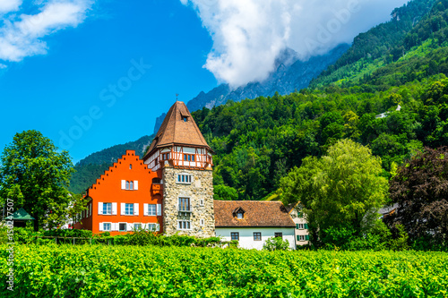 View of the famous red house in liechtenstein.