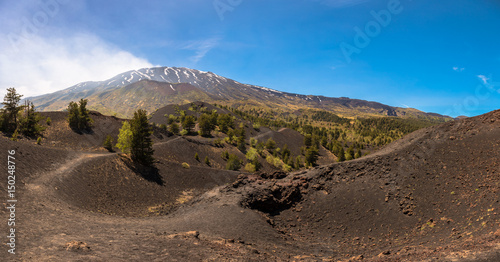 Monti Sartorius -   the eruptive cones of 1865 in the volcano etna photo