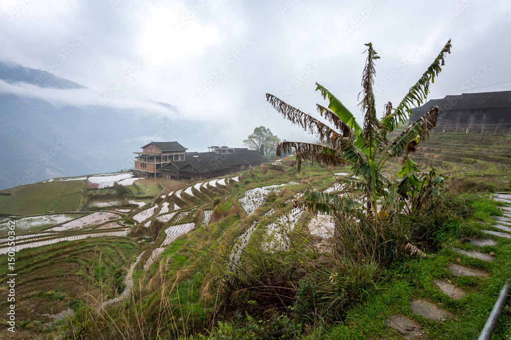 les terrasses cultivées d'un village chinois en montagne avec un escalier en premier plan les terrasses cultivées d'un village chinois en montagne avec un escalier en premier plan
