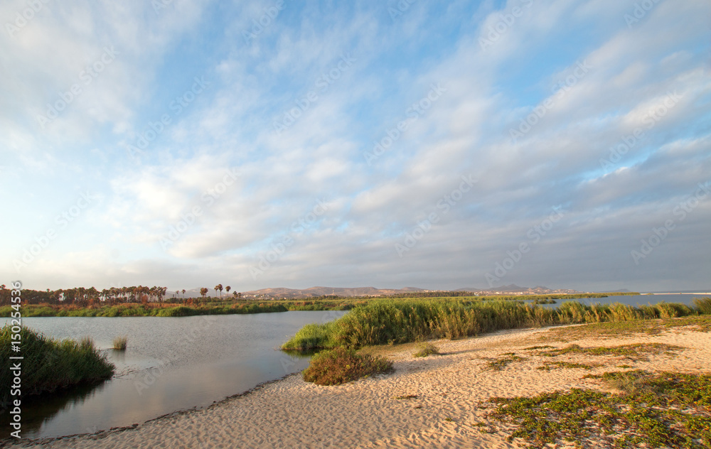 San Jose Del Cabo Lagoon / Estuary nature reserve just north of Cabo San Lucas Baja Mexico BCS