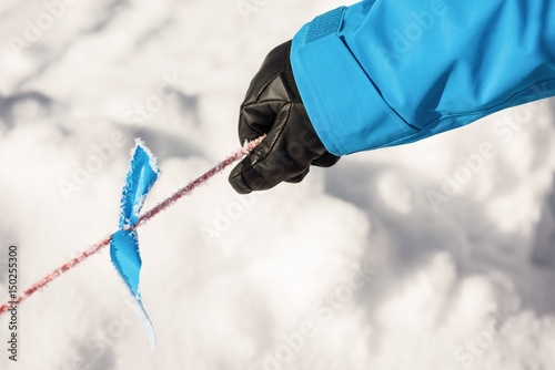 Skier holding pole in the snow