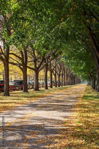 Fall at UChicago