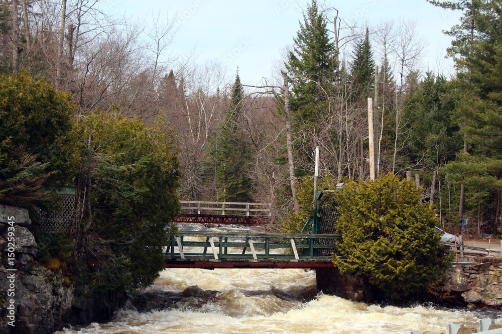 Obraz premium Rising flood in the spring