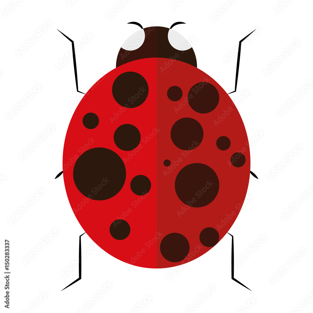 Isolated colored ladybug Isolated colored ladybug