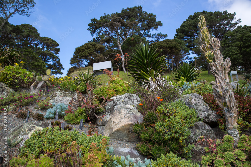 View of Wellington Botanic Garden.