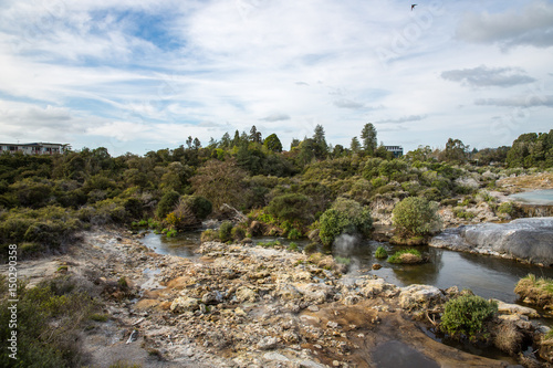 View of Te Puia geyser in Rotorua, New Zealand.