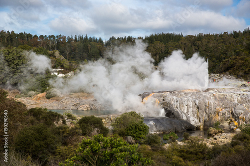 View of Te Puia geyser in Rotorua, New Zealand.