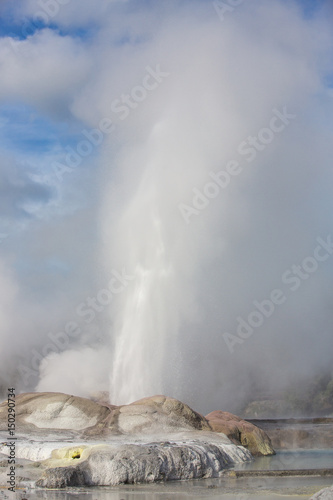 View of Te Puia geyser in Rotorua, New Zealand.