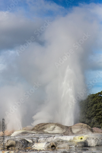 View of Te Puia geyser in Rotorua, New Zealand.