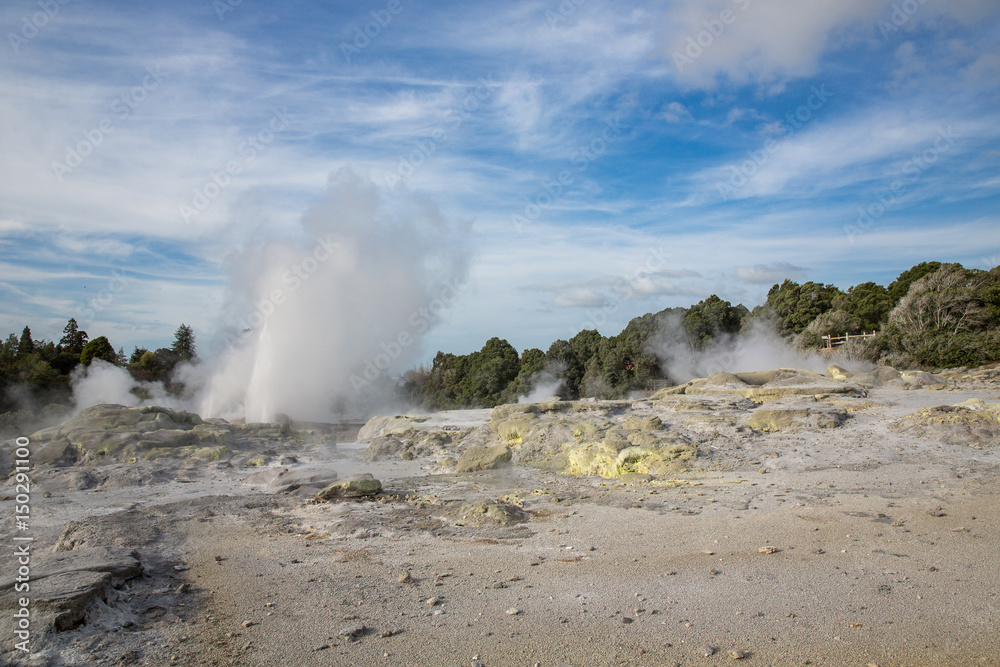 View of Te Puia geyser in Rotorua, New Zealand.