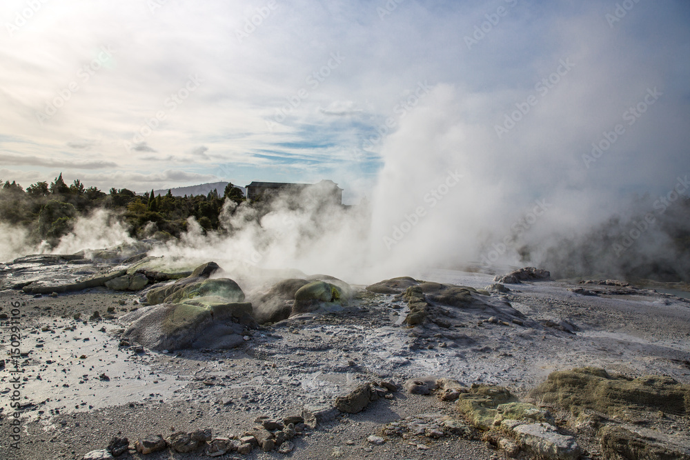 View of Te Puia geyser in Rotorua, New Zealand.