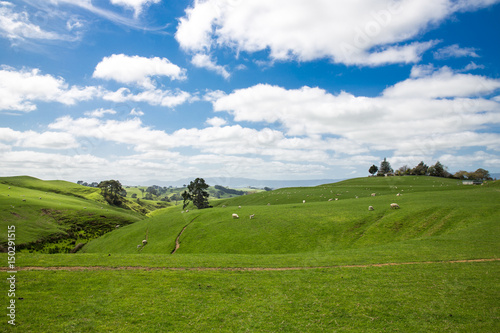 View of green hills in New Zealand.