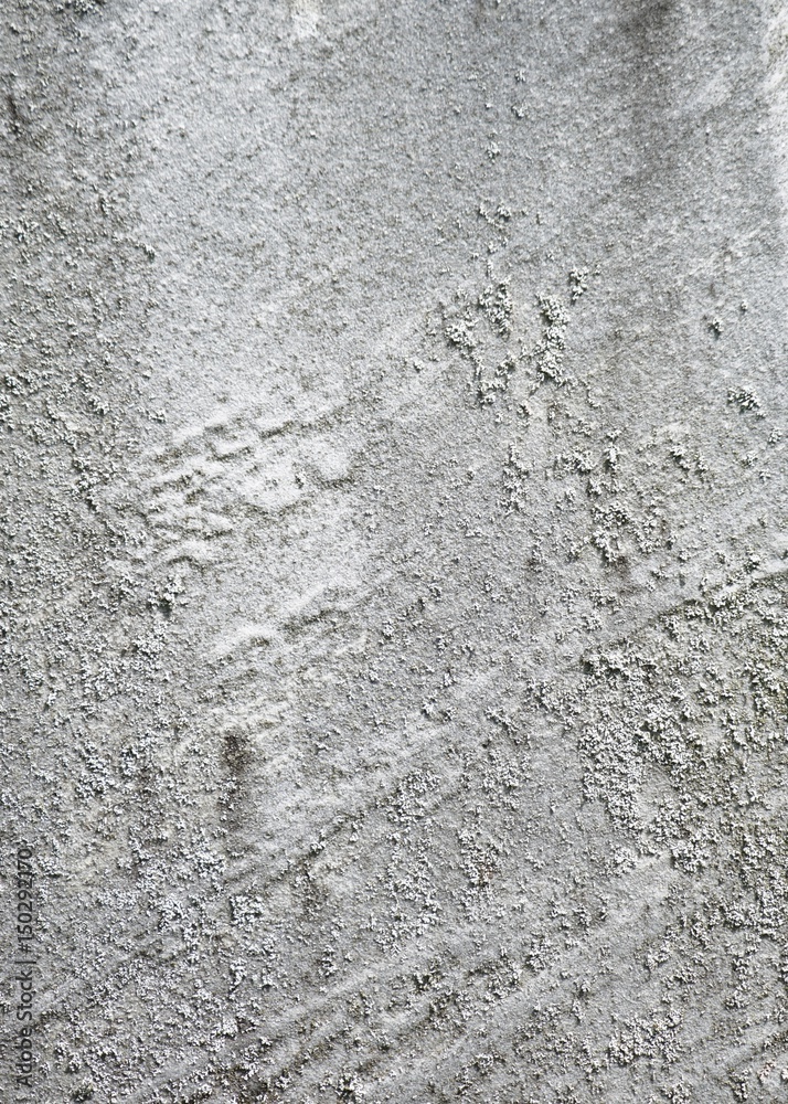 Sandstone Surface #5