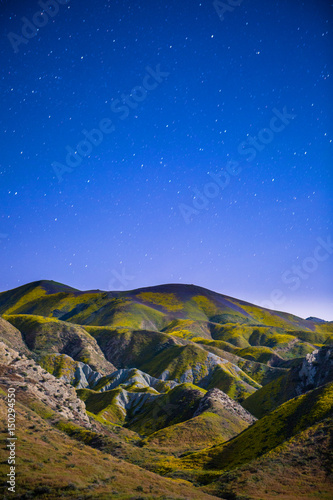 wildflowers in the Temblor Range are lit with moonlight , Carrizo Plains National Monument, California