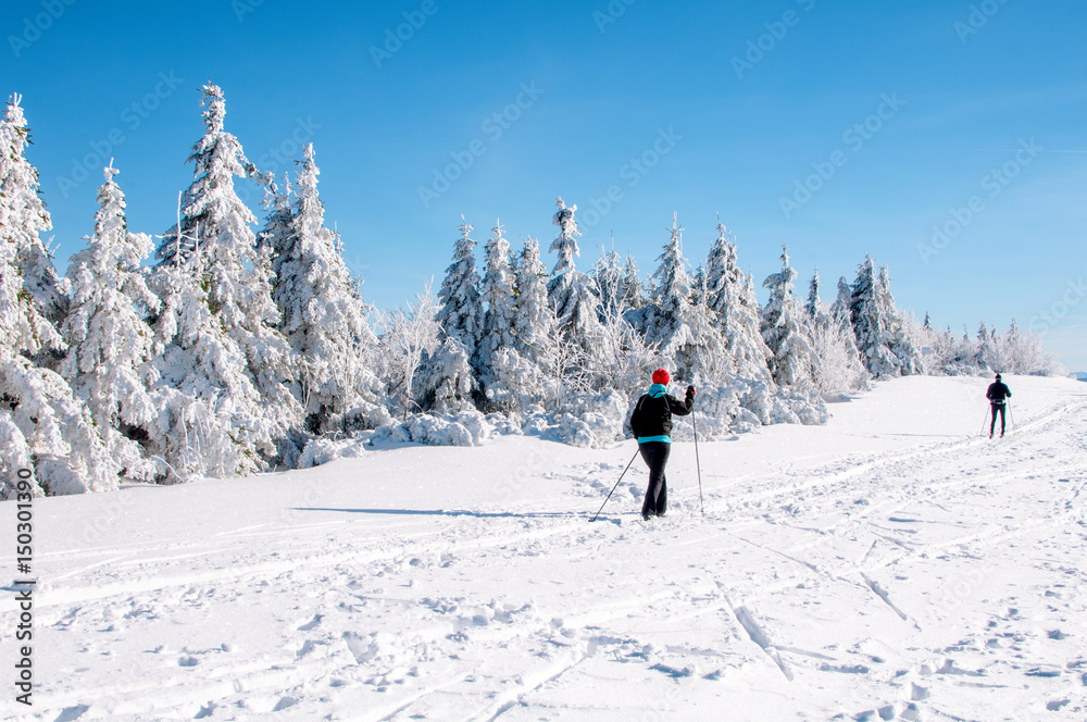 Ośnieżone drzewa i para turystów na nartach skiturowych w górskim krajobrazie.